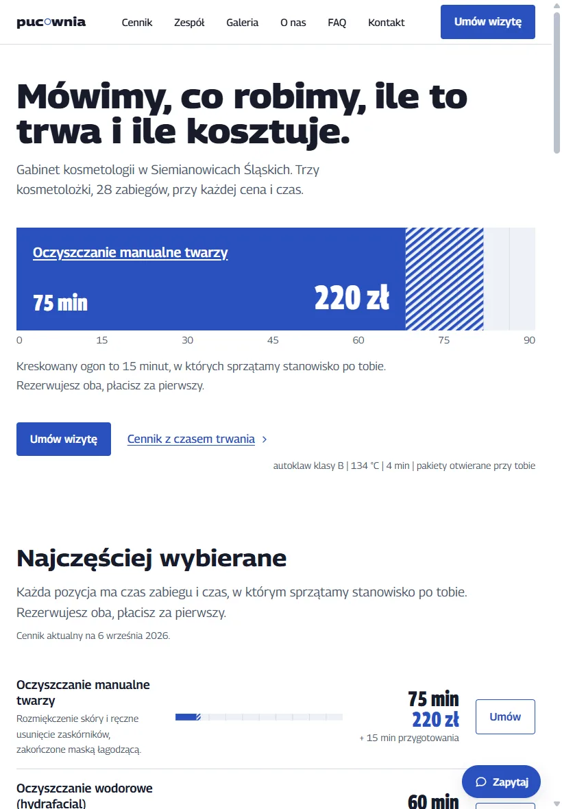 Strona dema Pucownia na średnim ekranie