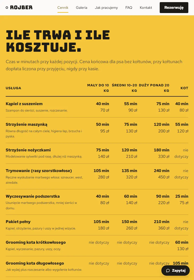 Strona dema Rojber na średnim ekranie